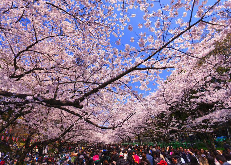 2. Ueno Park