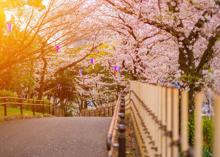 10. Asukayama Park