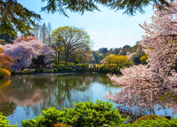 1. Shinjuku Gyoen National Garden