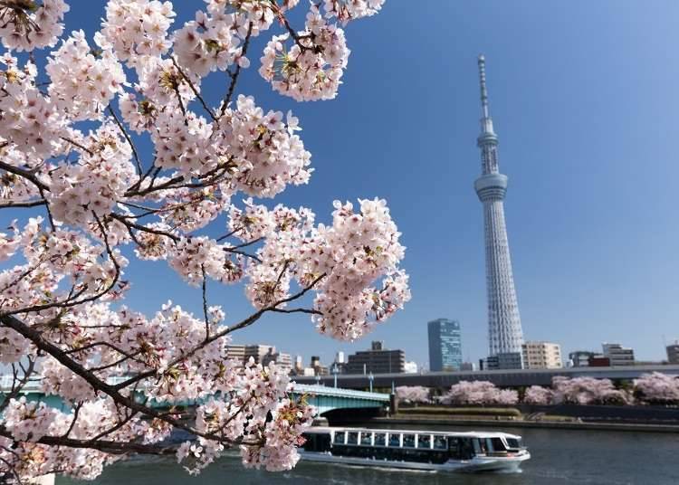 4. Sumida Park in Taito-ku