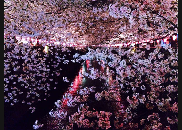 6: Megurogawa