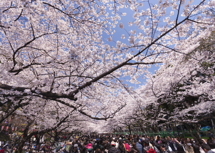 2:上野恩賜公園