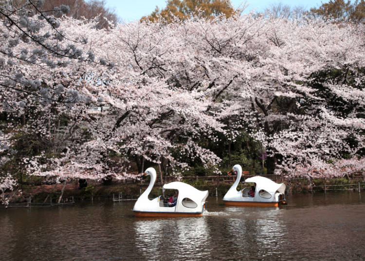 5:井の頭恩賜公園
