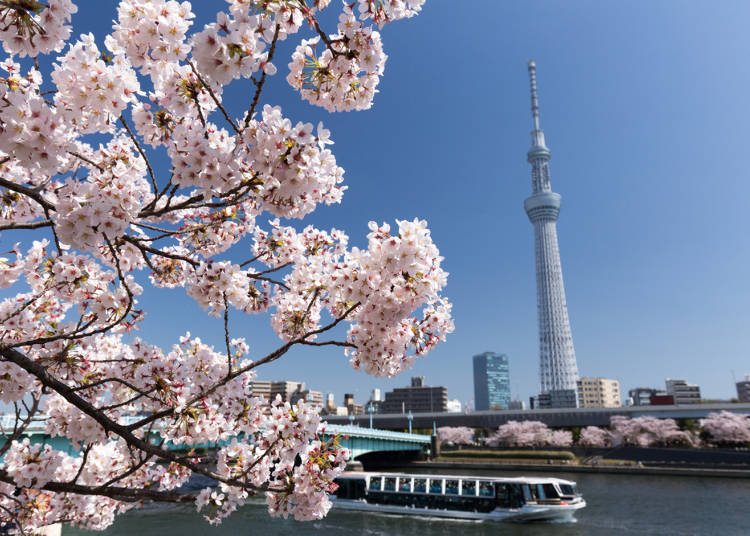 4:台東區立隅田公園