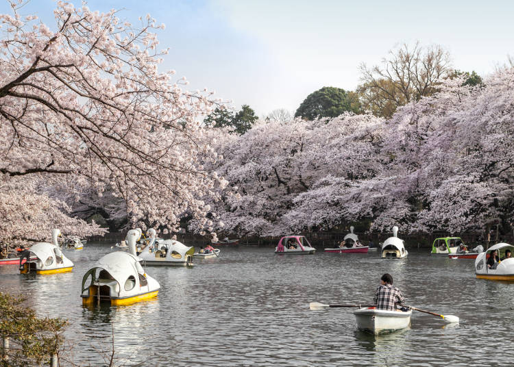 5:井之頭恩賜公園