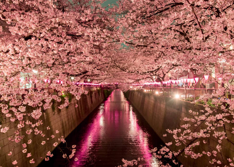 6:目黑川
