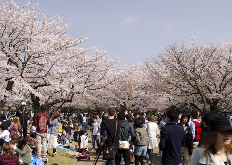 7:代代木公園