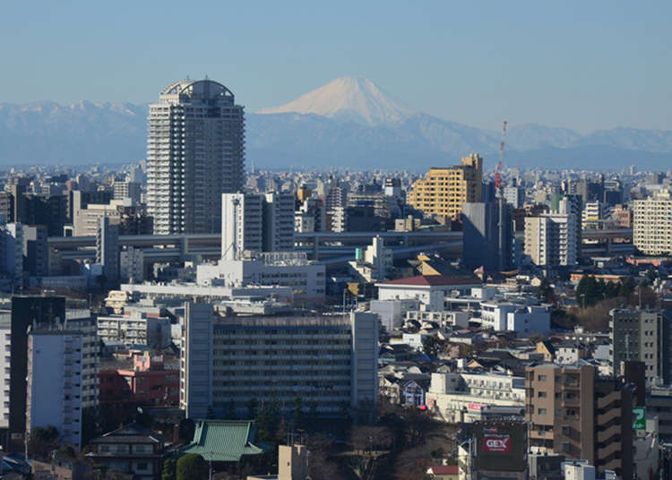 食事をしながら富士山の景色を楽しめる