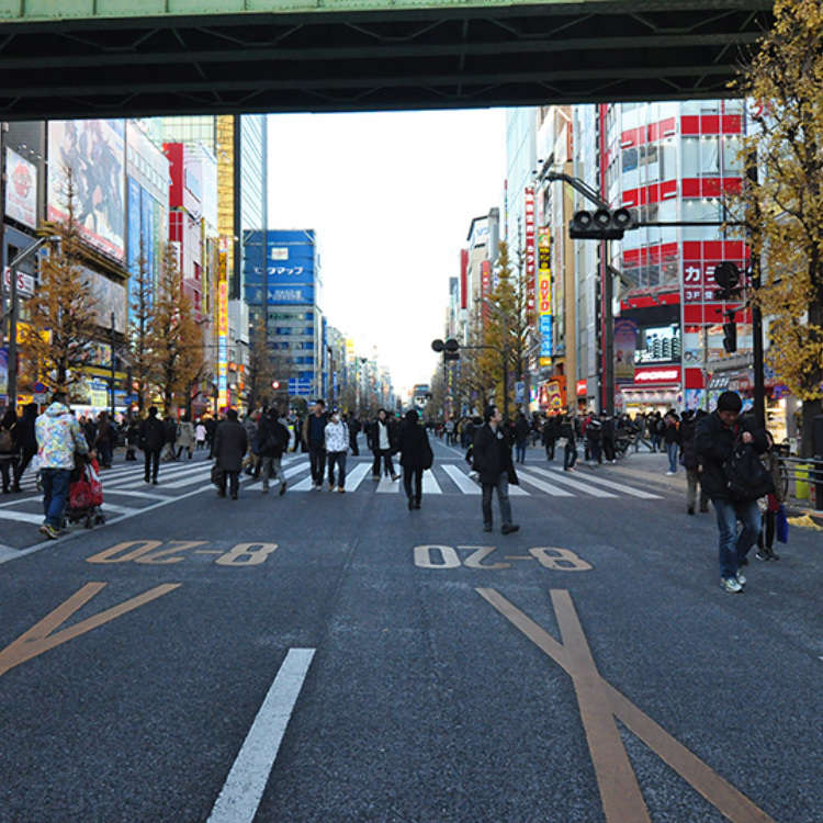 Capture the Ambience of Akihabara!