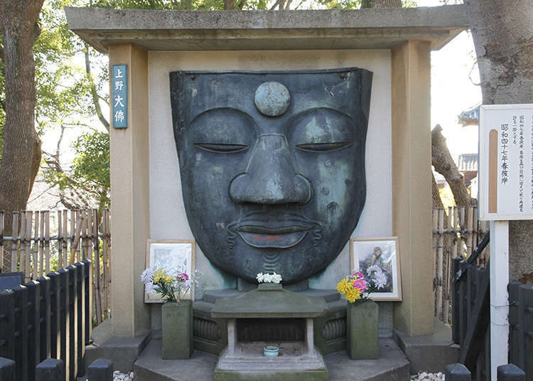 Traveling around Tokyo: 10 Things You Didn't Know About Ueno Park!