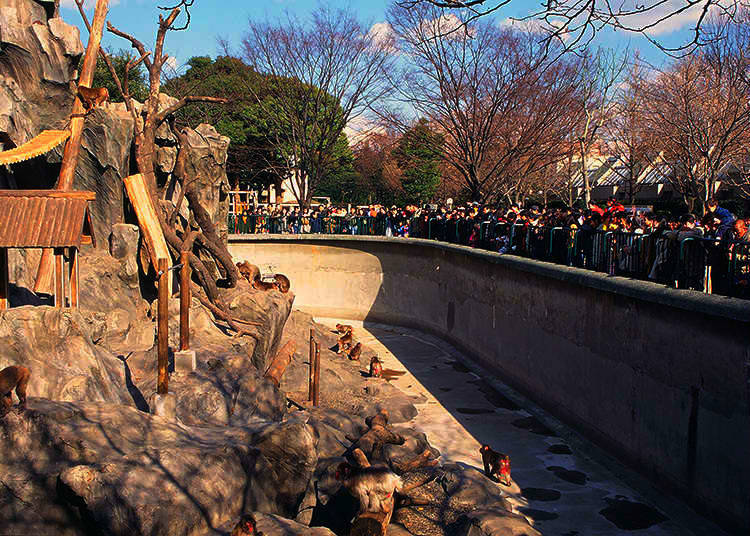 8. Why is there a zoo in Ueno Park?