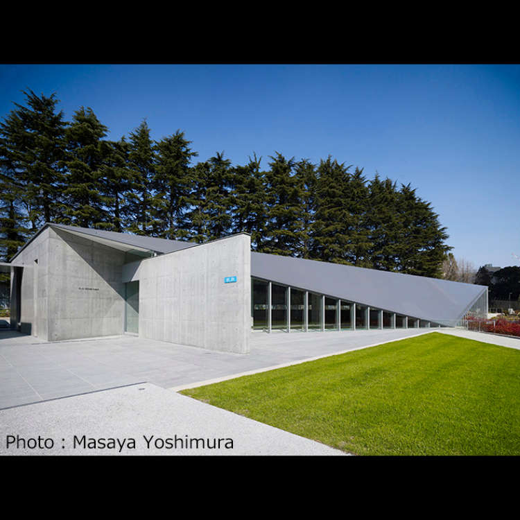 A New Sensation Museum to Watch, Experience, and be Emotional