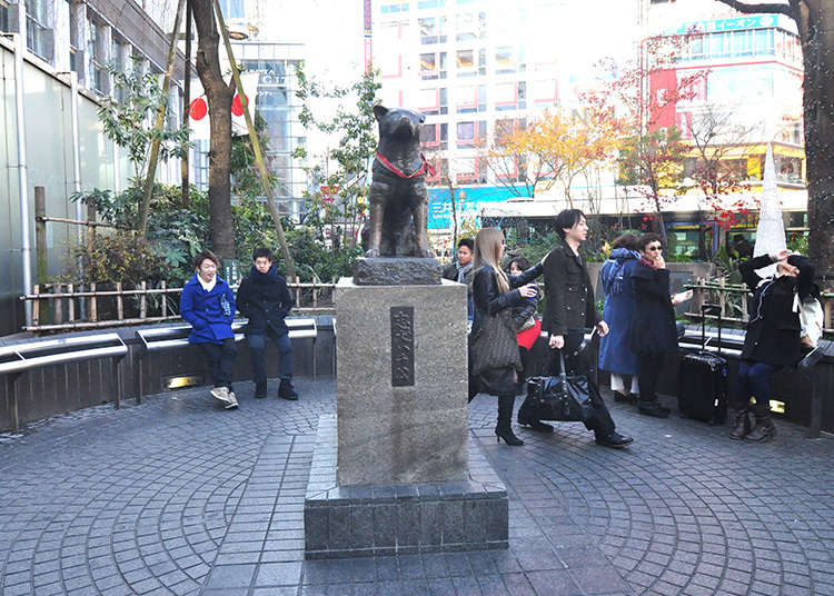 Di sinilah tempat temu janji di Shibuya!