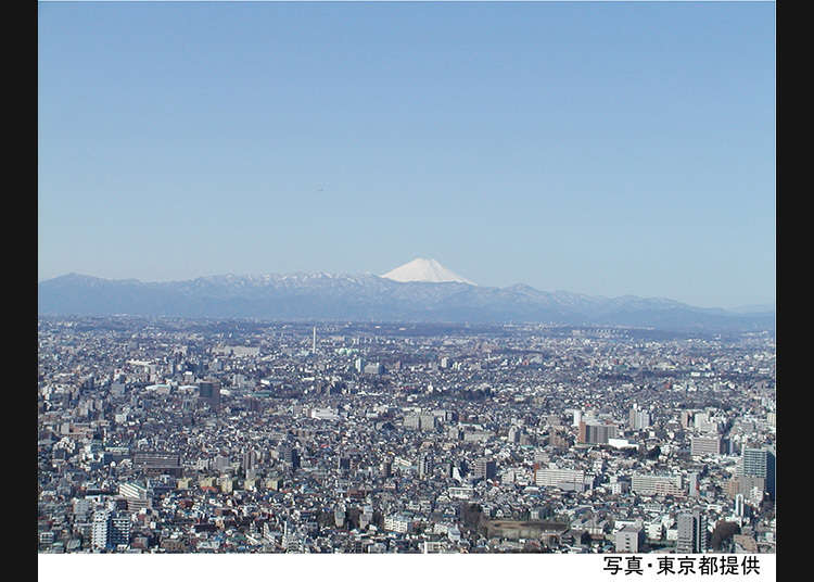 東京都庁の特別展望室からの眺め