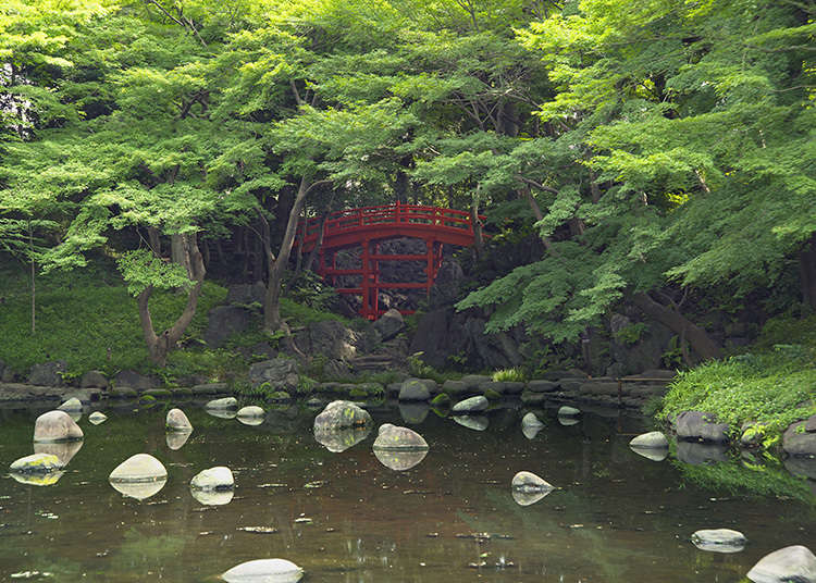5:小石川後樂園