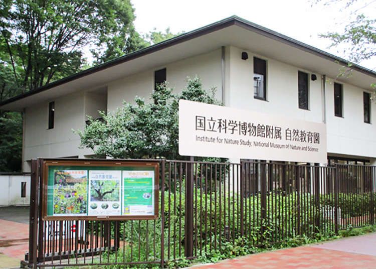 Institute for Nature Study by National Museum of Nature and Science