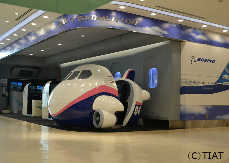 "Flight Simulator" yang Bisa Membuat Anda Menjadi Lupa Segalanya