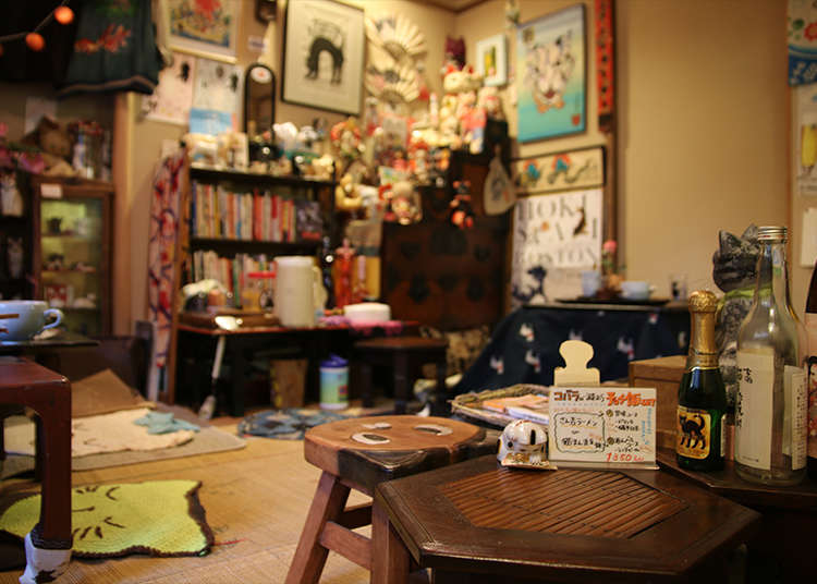 10. Unwind and Experience Japanese Daily Life (and Cats!) at an Old Japanese Folk House Cafe in Yanaka