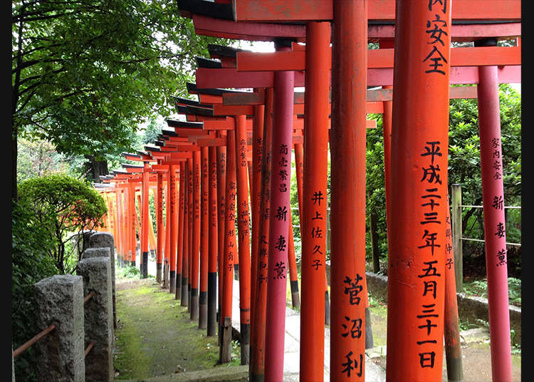 籠罩著神秘氣氛的「根津神社」乙女稻荷鳥居