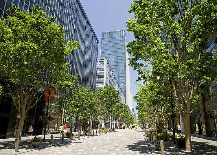 The cutting-edge town