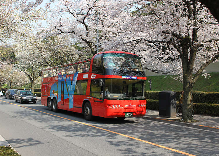 Sightseeing on a Tour Bus