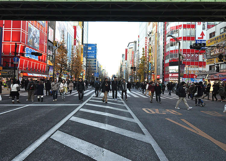 Try to walk around Akihabara pedestrian zone