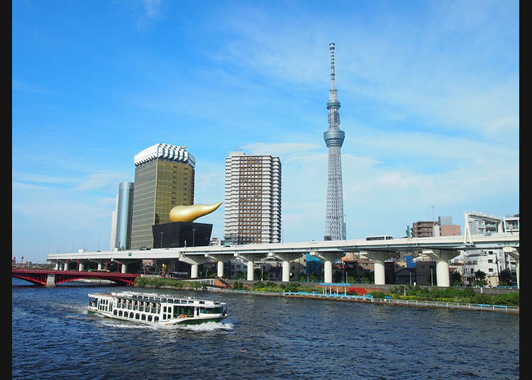 Take a Ride on a Water Bus