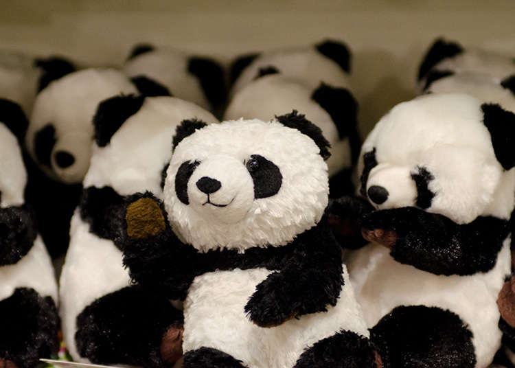 Membeli Panda