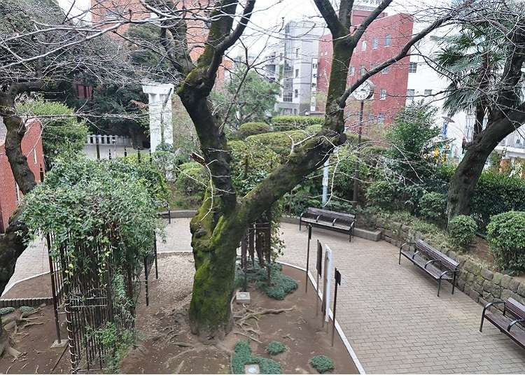A spot where you can feel Japanese atmosphere in Roppongi