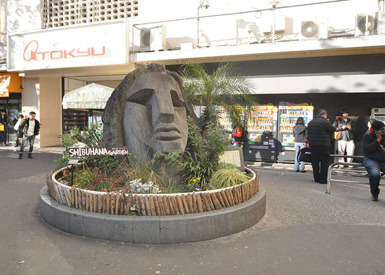 Standard meeting spot: "Moyaizo"
