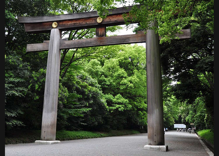 Gerbang Torii Terbesar di Jepang