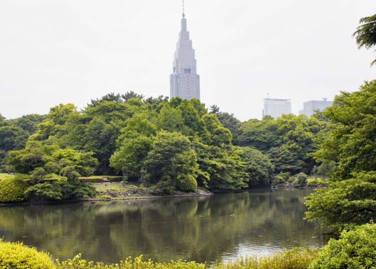 The Spot in Shinjuku Where You Can Feel the Green