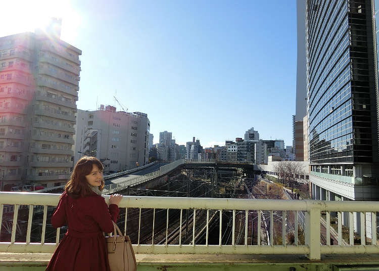 Mutsumata-rikkyo Overpass