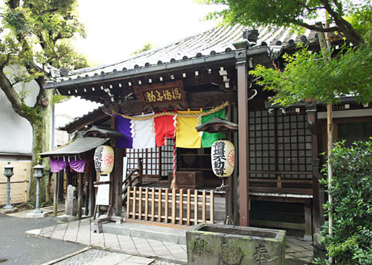 樹齢700年のイチョウ「橋場寺不動院」