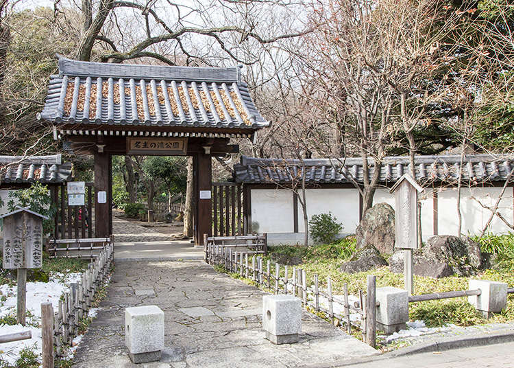 有四座瀑布的綠意盎然的日本庭園