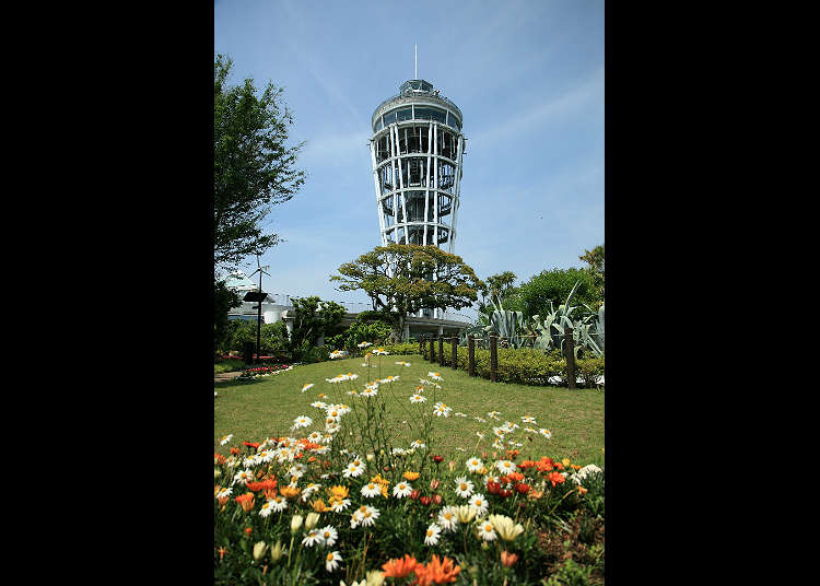 Visit the Observation Tower and Lighthouse Enoshima Sea Candle
