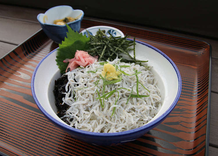 Enjoy Shirasu, the Local Specialty of Enoshima
