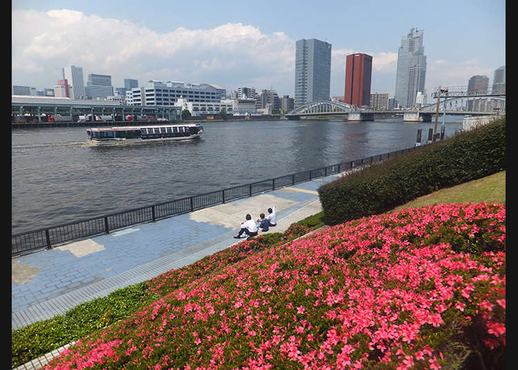 The atmosphere of the riverbank