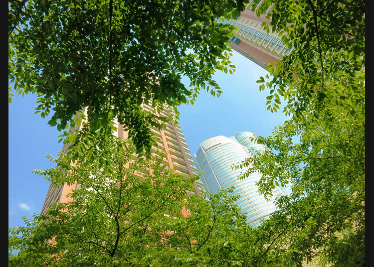 A moment of exposed in green and public arts