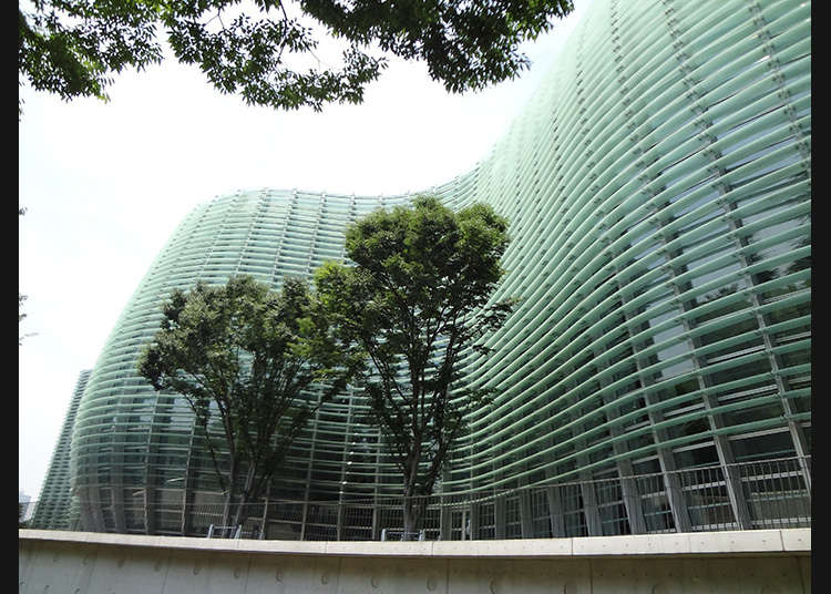 沈浸在藝術氣息中
