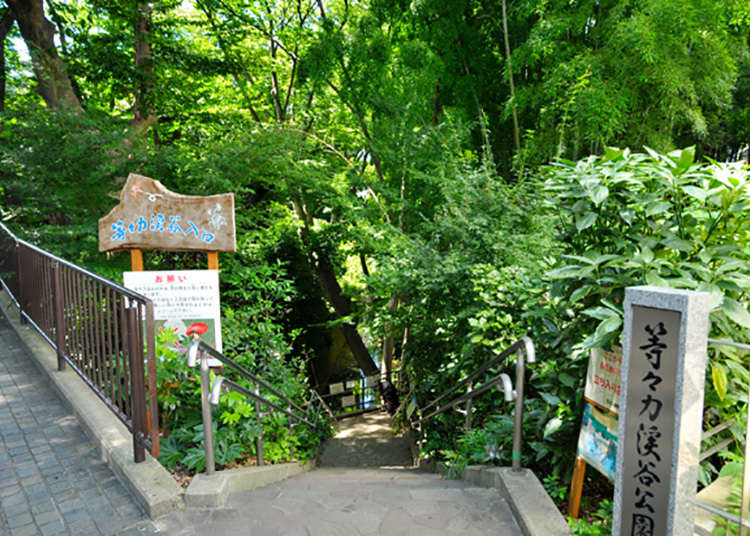 都内唯一の渓谷!希少な自然スポット