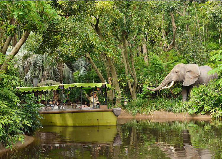 体验真正的冒险”丛林巡航(Jungle Cruise) ”
