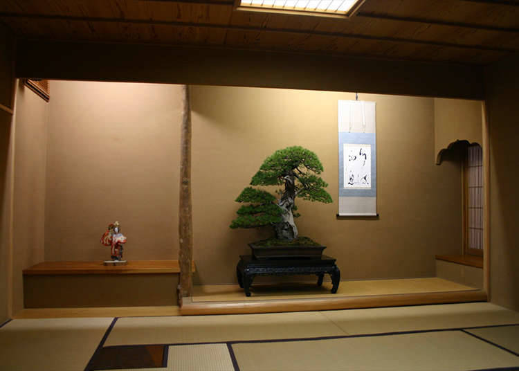 Pengalaman bonsai yang sebenar