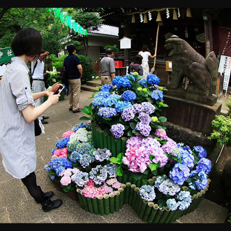Hakusan-Jinja