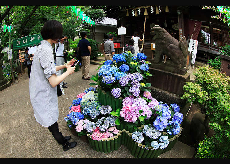 白山神社