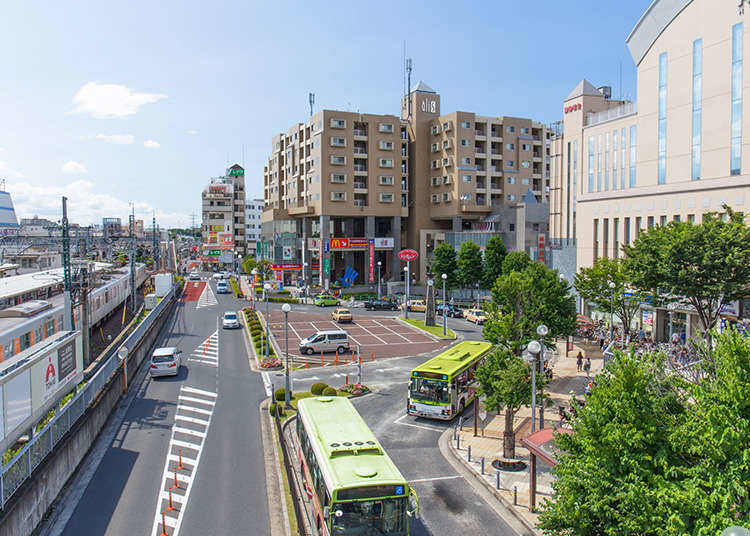 其他路线公交车