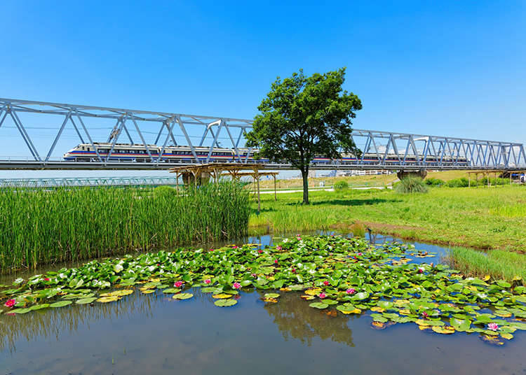 ตั๋วโดยสารสำหรับชาวต่างชาติของบริษัทรถไฟเคเซ