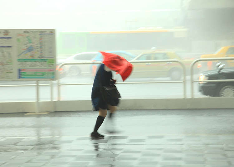 台風の時期
