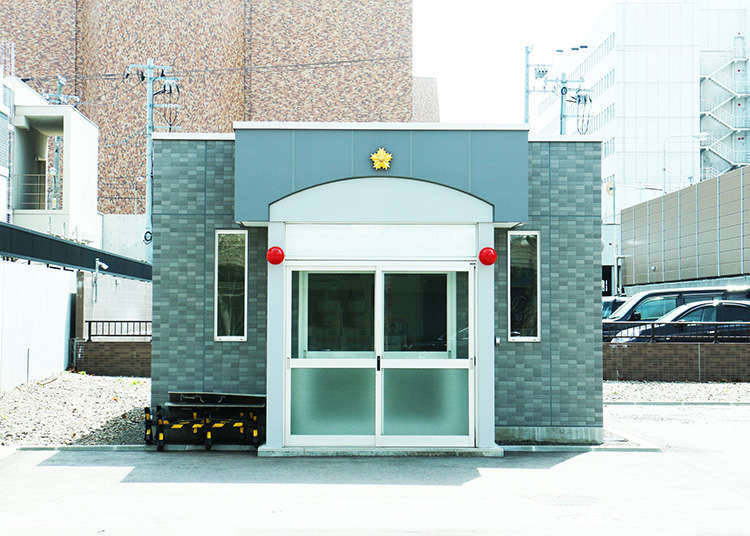 범죄 정보 지도