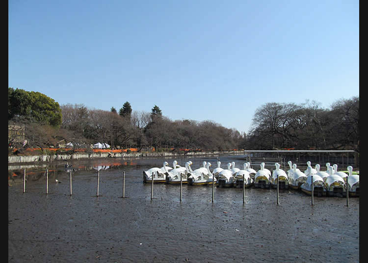 三鷹市周邊